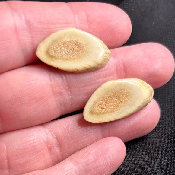 VTG Unique Resin Fake petrified wood screw back earrings. Unbranded - Picture 5 of 6